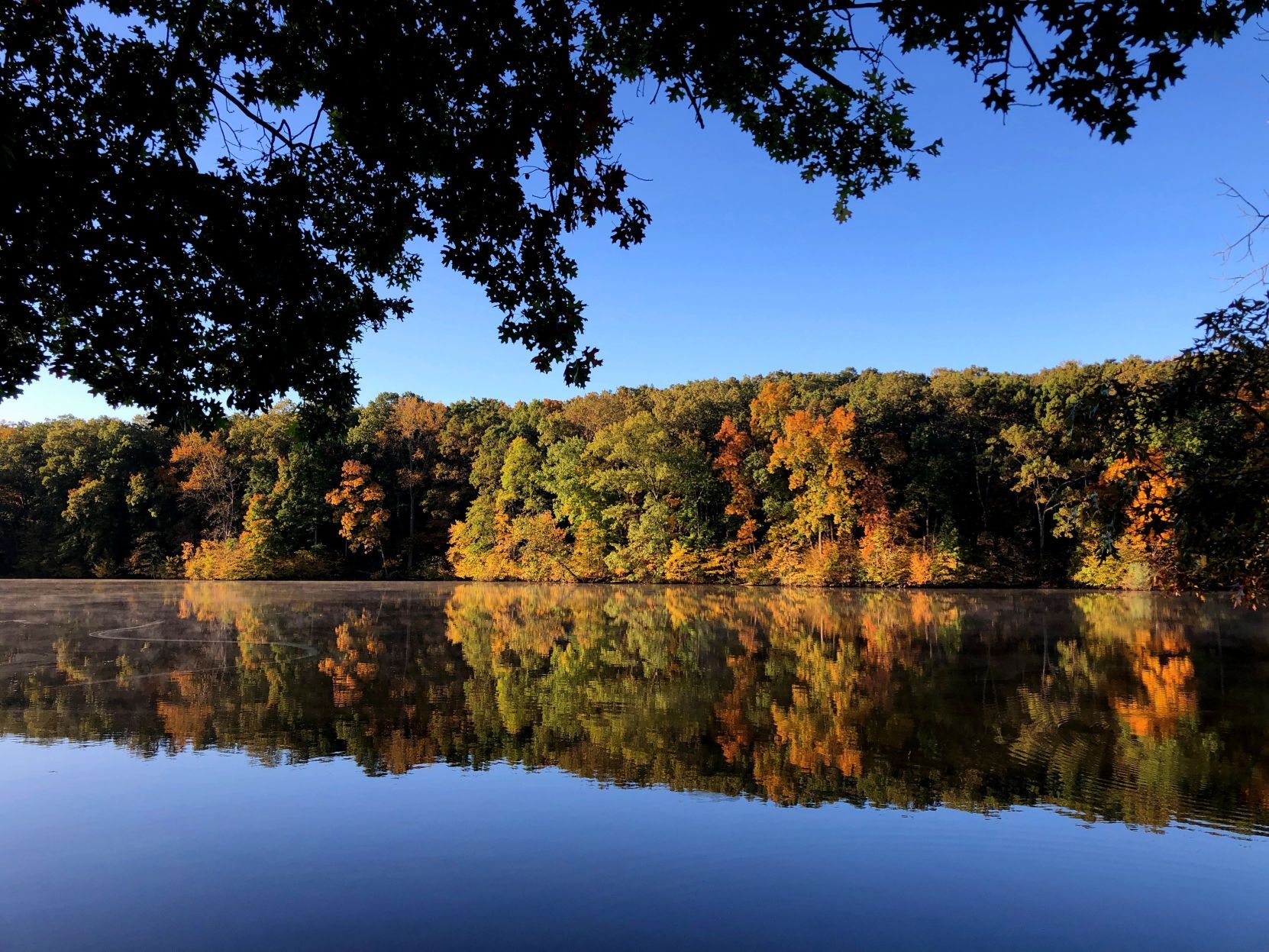 Fall foliage at Lake Murphysboro State Park